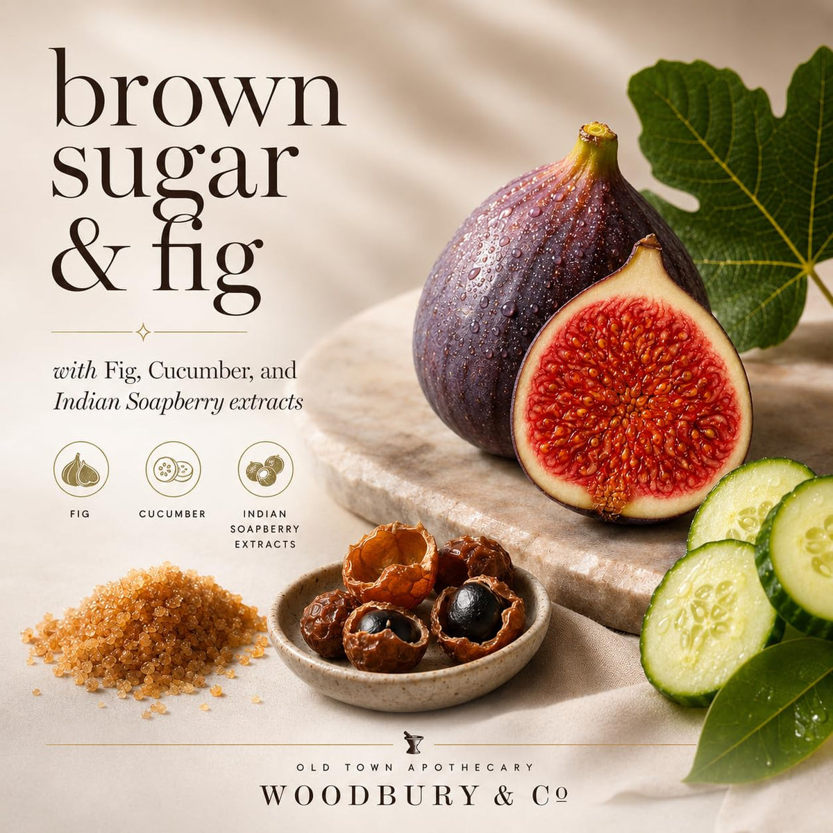 WOODBURY & CO 150 Piece Hotel Toiletries Bulk Set for Airbnb Hosts, Travel Size Shampoo, Conditioner, Body Wash, Lotion, Bar Soap, Guest Bathroom Essentials, Paraben Free, Brown Sugar and Fig Scent